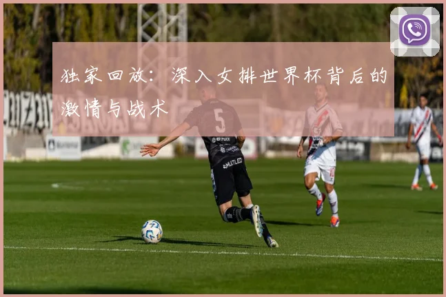独家回放:深入女排世界杯背后的激情与战术