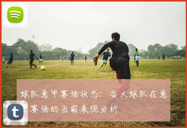 球队意甲赛场状态：各大球队在意甲赛场的当前表现分析