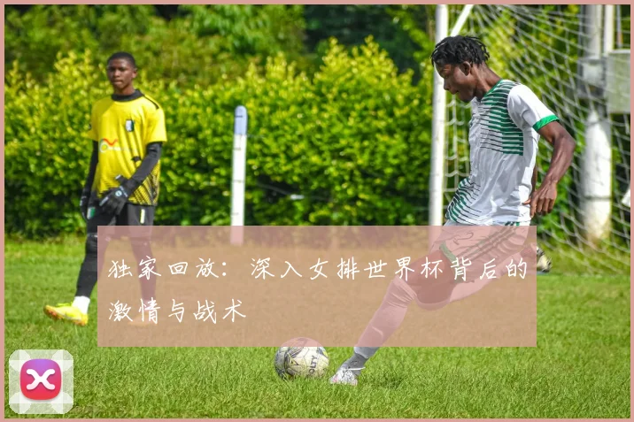 独家回放:深入女排世界杯背后的激情与战术