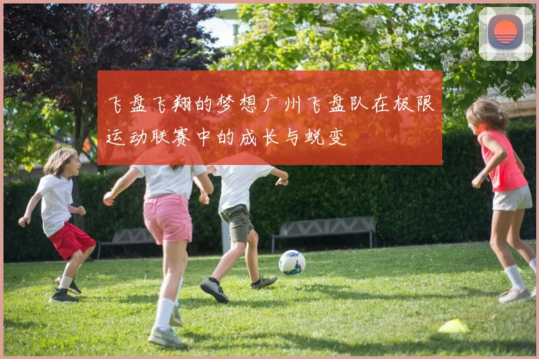 飞盘飞翔的梦想广州飞盘队在极限运动联赛中的成长与蜕变