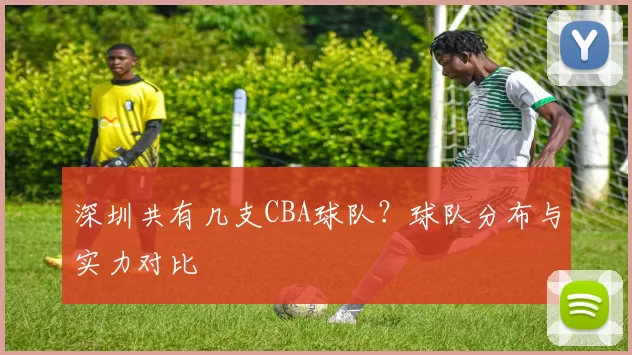 深圳共有几支CBA球队？球队分布与实力对比
