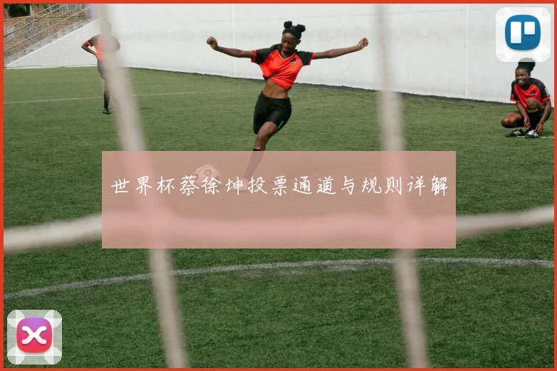 世界杯蔡徐坤投票通道与规则详解