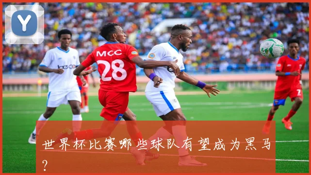 世界杯比赛哪些球队有望成为黑马?
