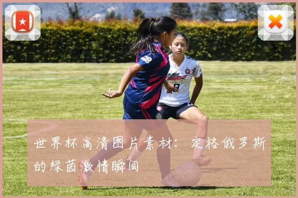 世界杯高清图片素材：定格俄罗斯的绿茵激情瞬间