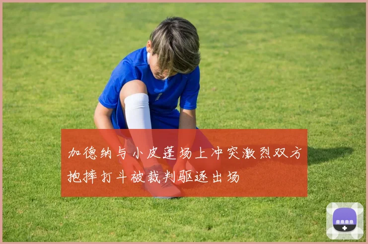 加德纳与小皮蓬场上冲突激烈双方抱摔打斗被裁判驱逐出场