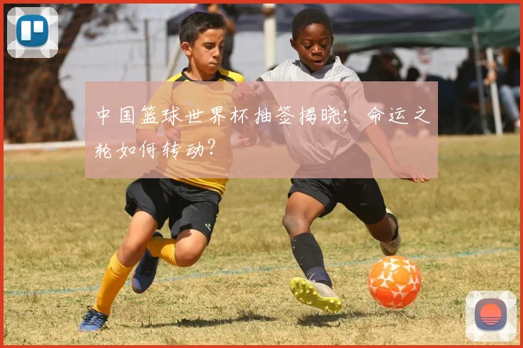中国篮球世界杯抽签揭晓：命运之轮如何转动？