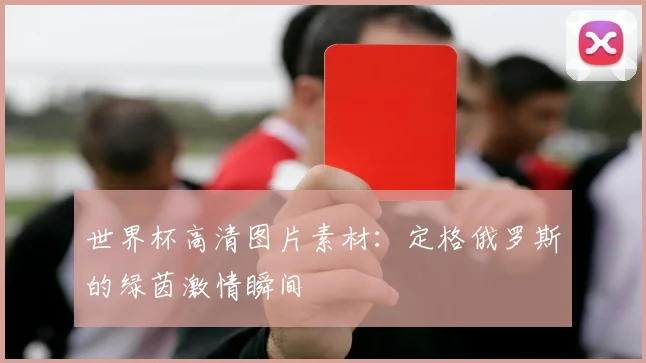 世界杯高清图片素材:定格俄罗斯的绿茵激情瞬间