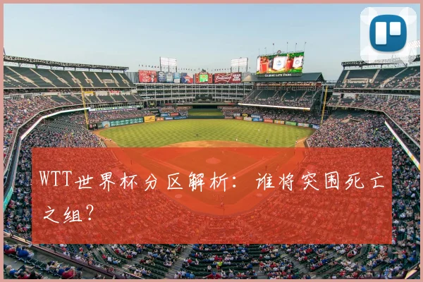 WTT世界杯分区解析:谁将突围死亡之组?