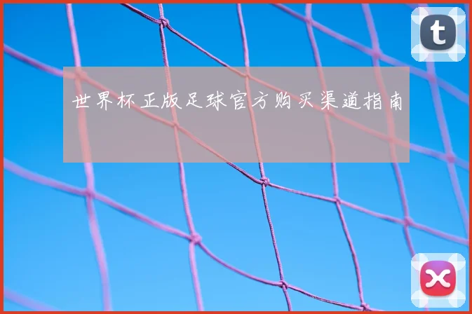世界杯正版足球官方购买渠道指南