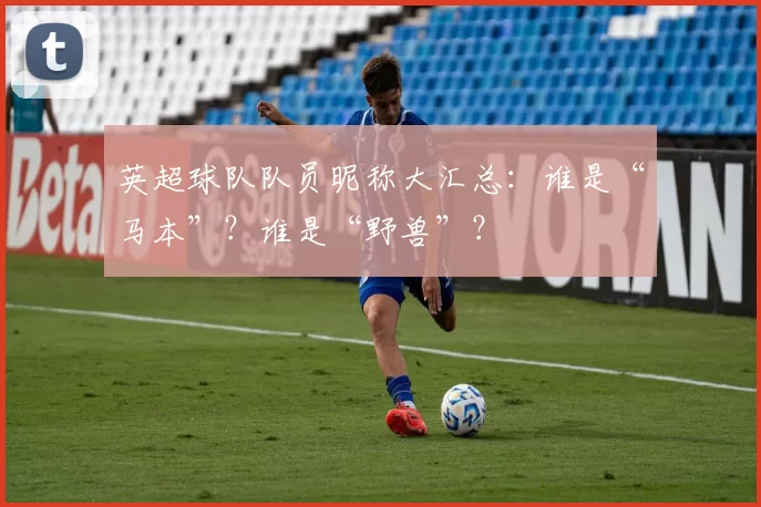 英超球队队员昵称大汇总：谁是“马本”？谁是“野兽”？