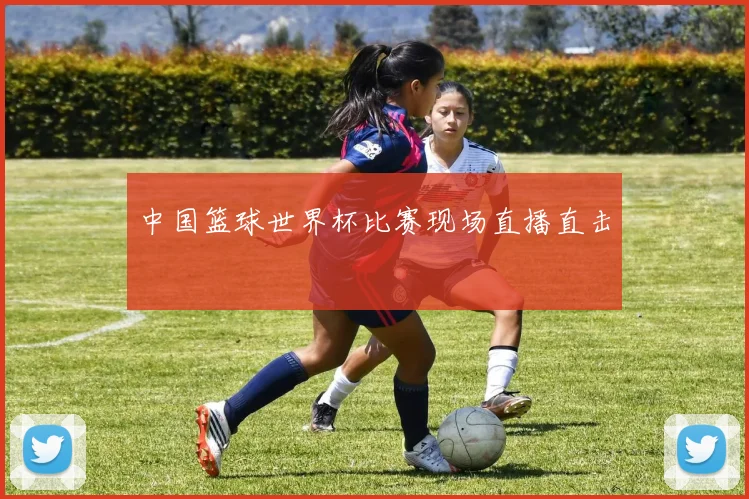 中国篮球世界杯比赛现场直播直击