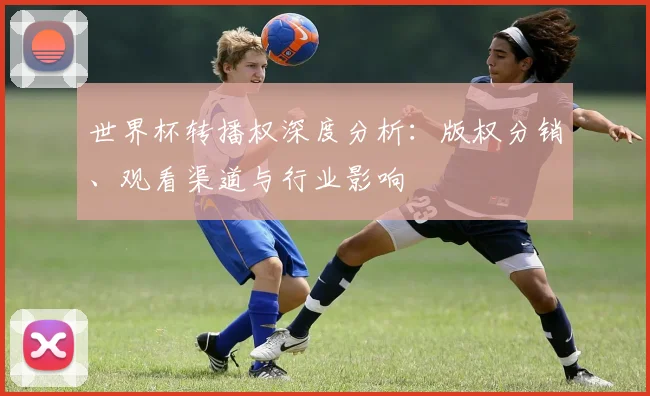 世界杯转播权深度分析：版权分销、观看渠道与行业影响
