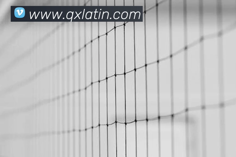 J9集团APP 封面图